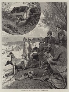 Coursing v Clevelandu, Yorkshire